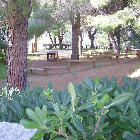 Bilocale 85 La Giungla
